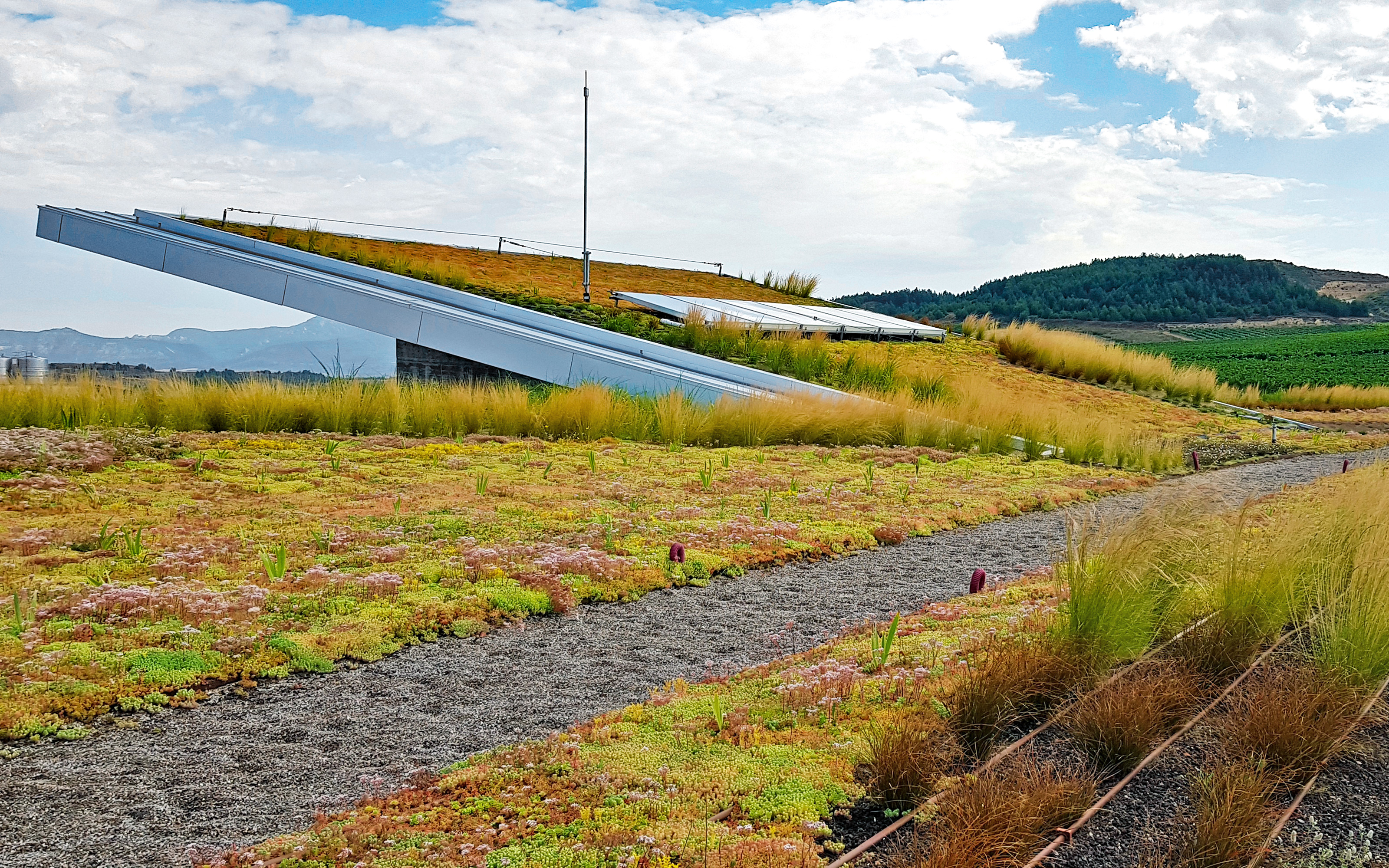 Cubierta ajardinada extensiva y grava