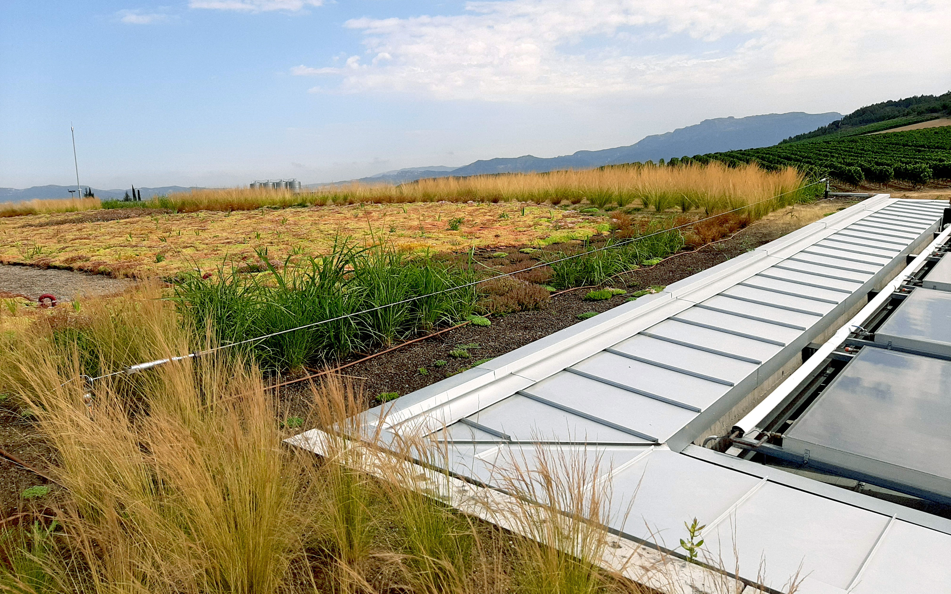 Cubierta ajardinada extensiva