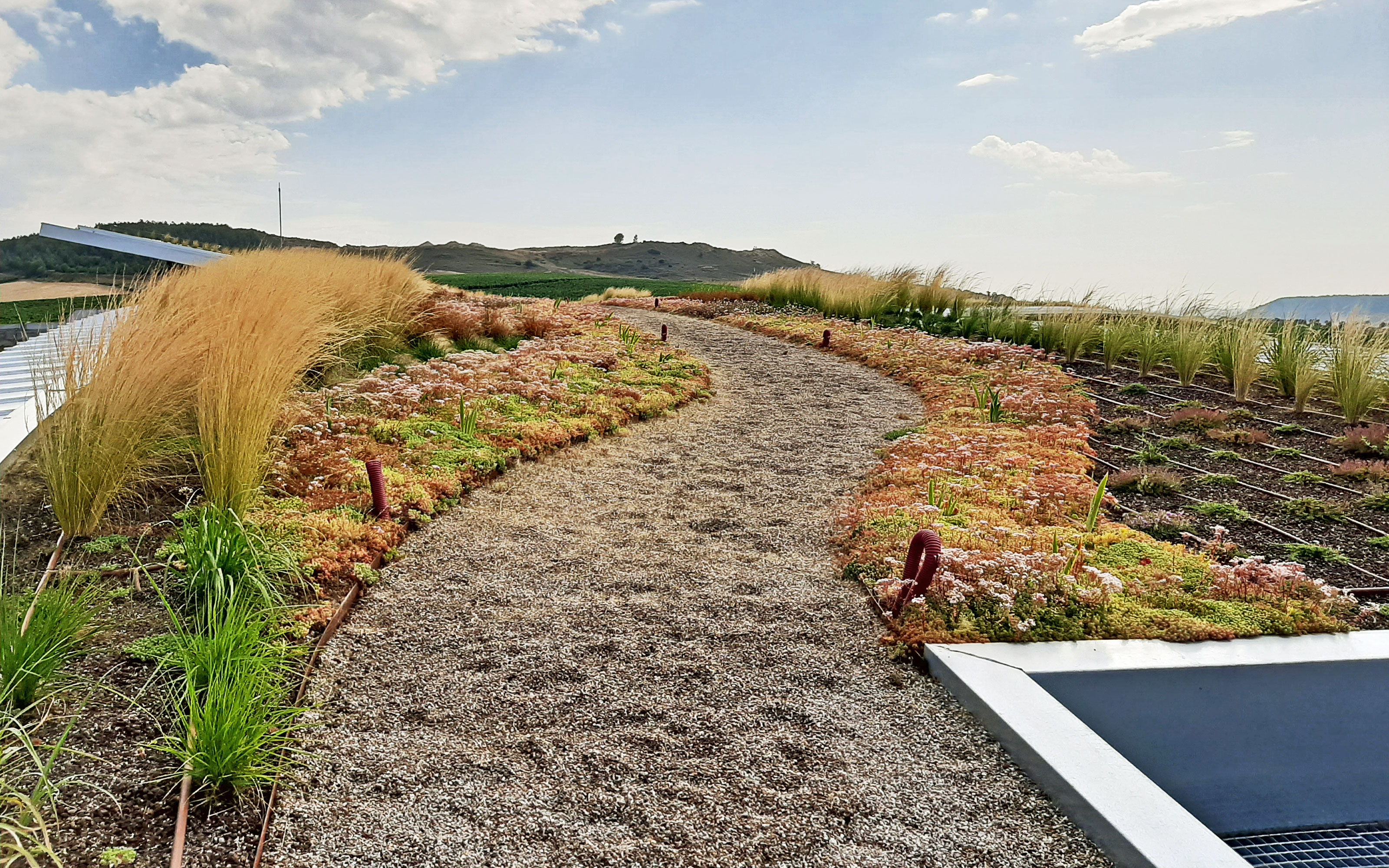 Cubierta ajardinada extensiva y grava