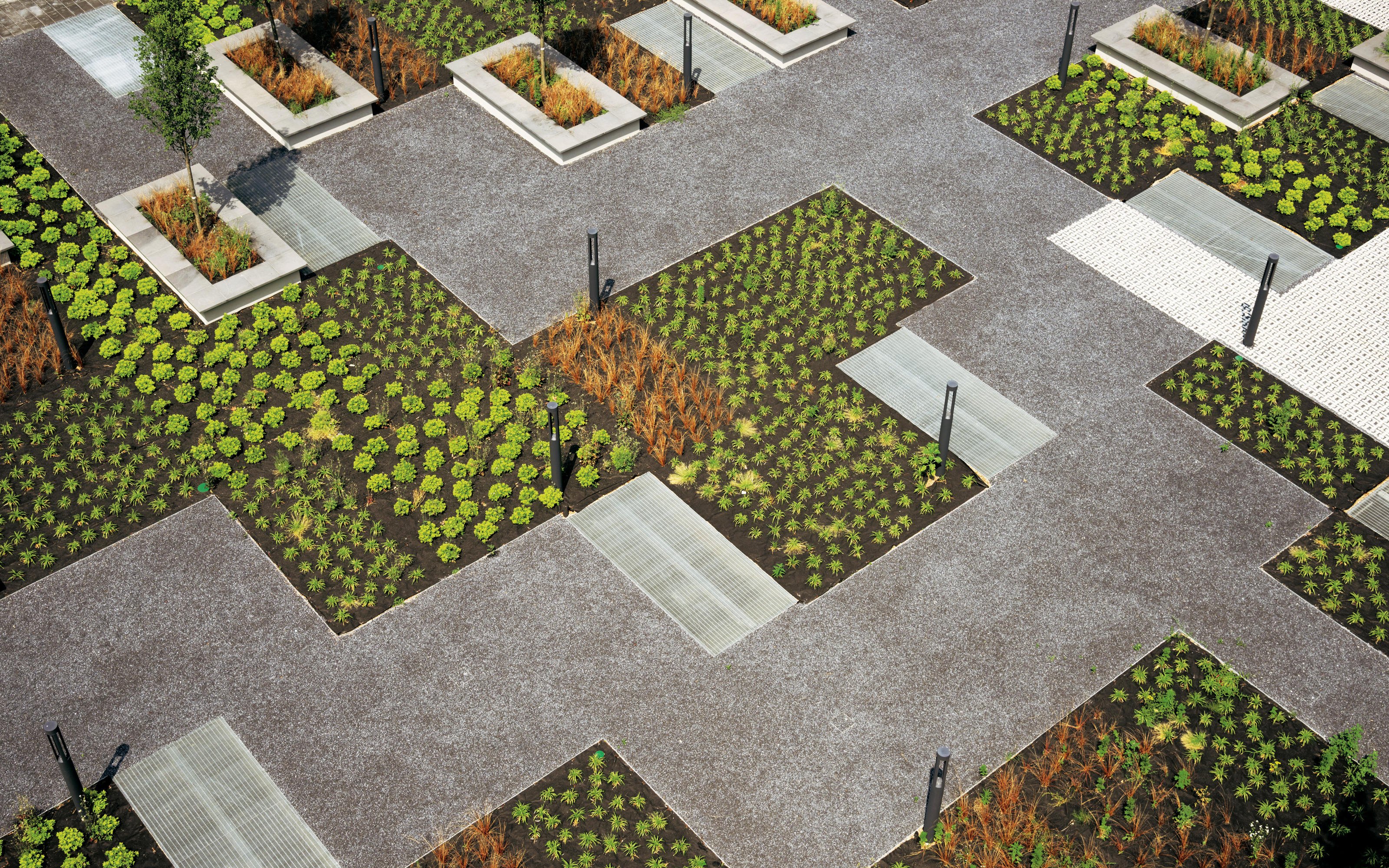 Patio con áreas plantadas y pavimentadas