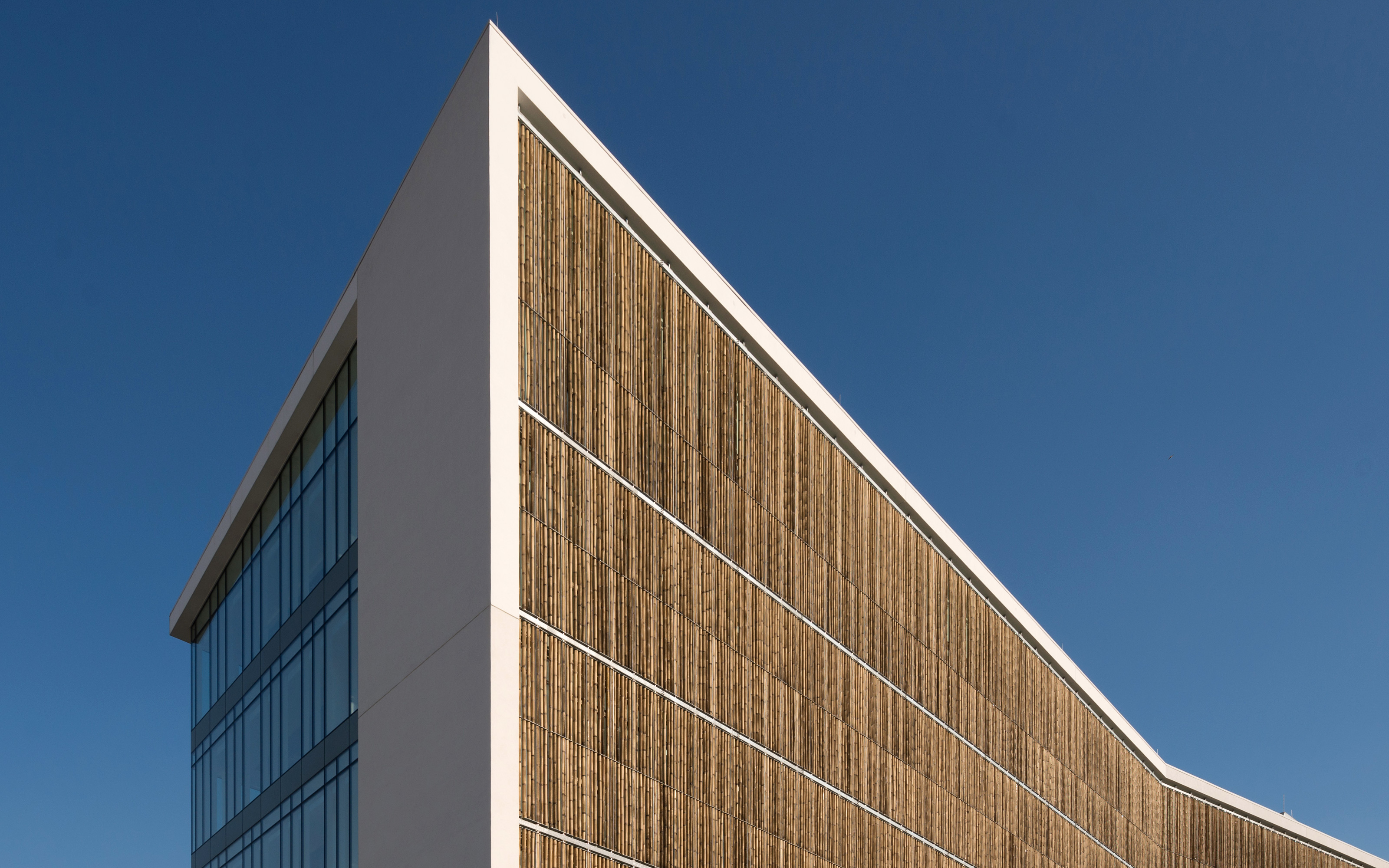 Fachada de la casa con bambú