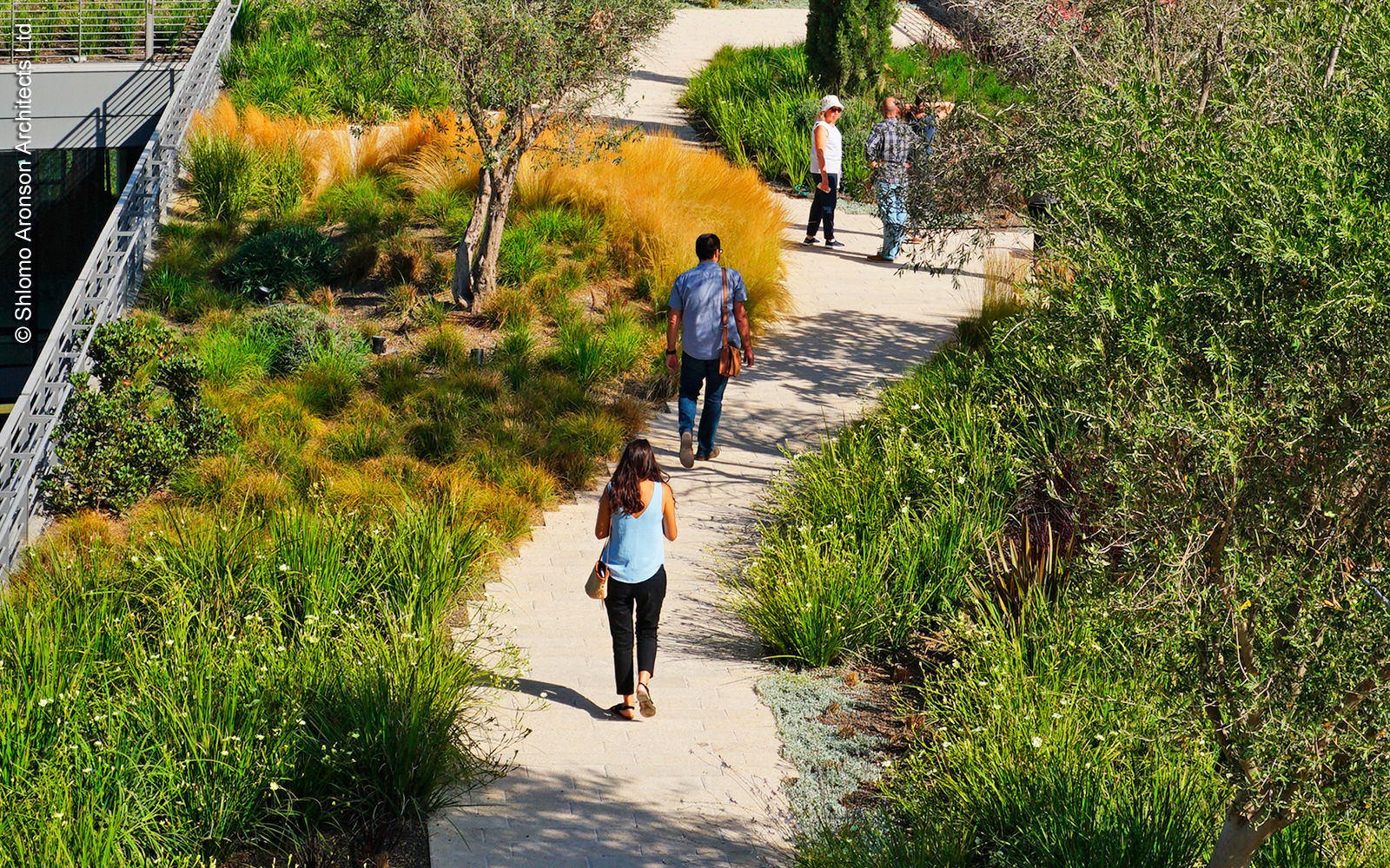 Gente paseando por una cubierta verde con vegetación exuberante 