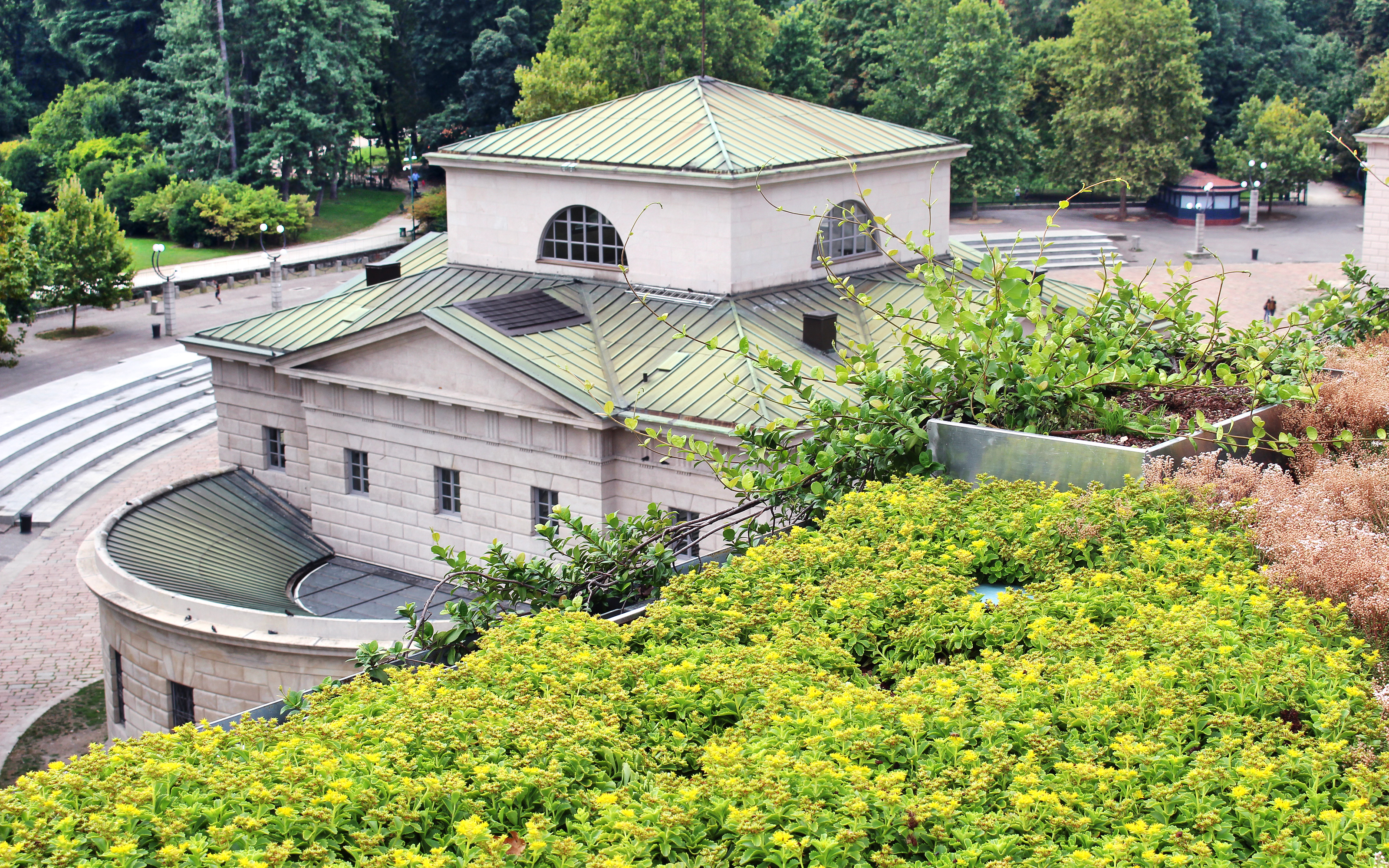 Cubierta ajardinada con Sedum