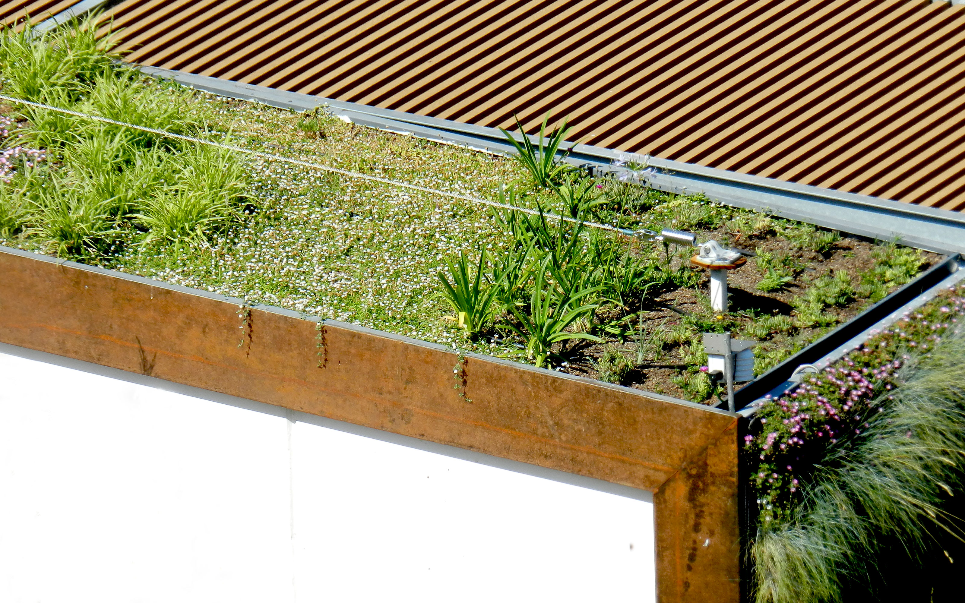 Cubierta ajardinada extensiva con la protección anticaída