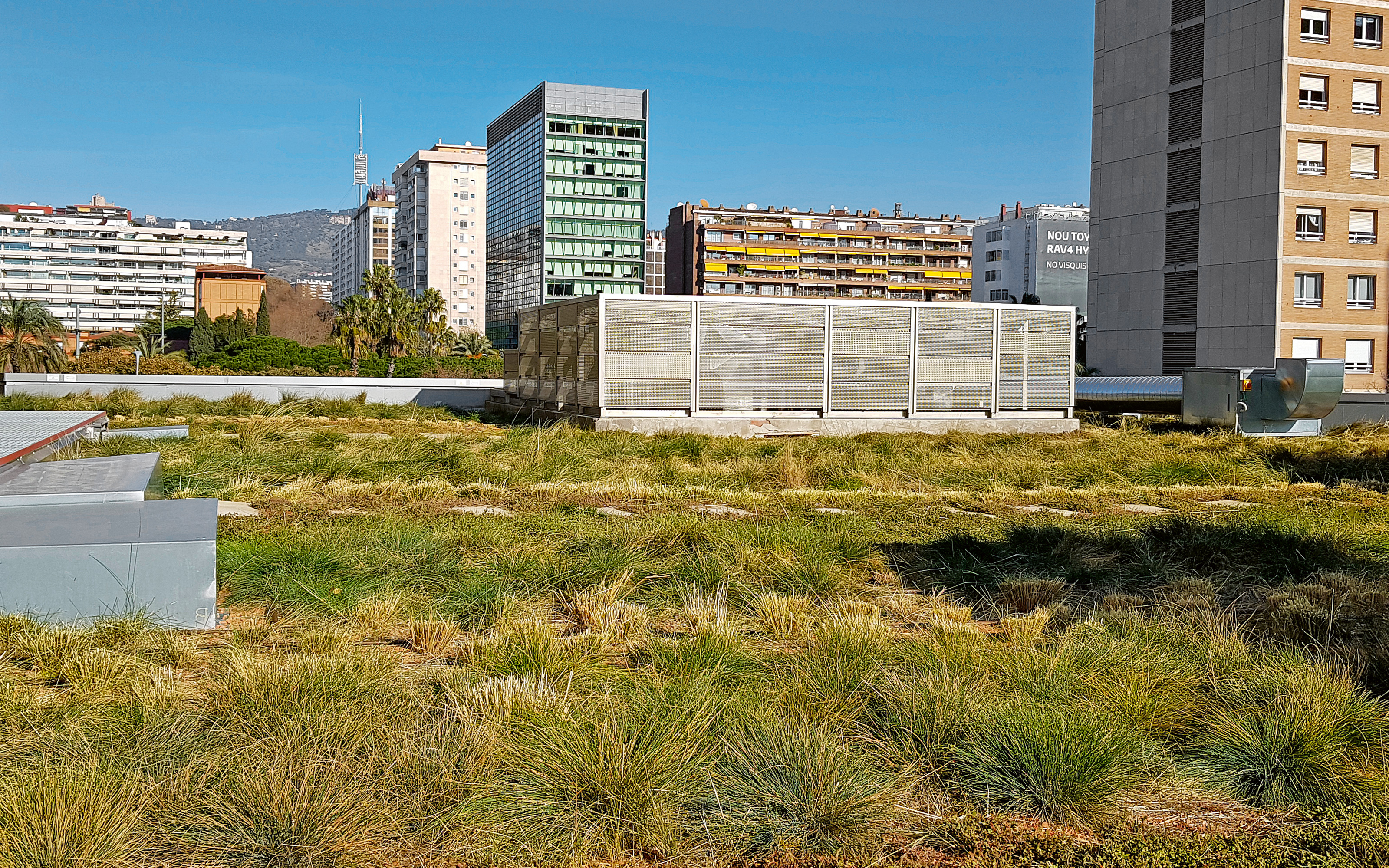 Cubierta ajardinada extensiva