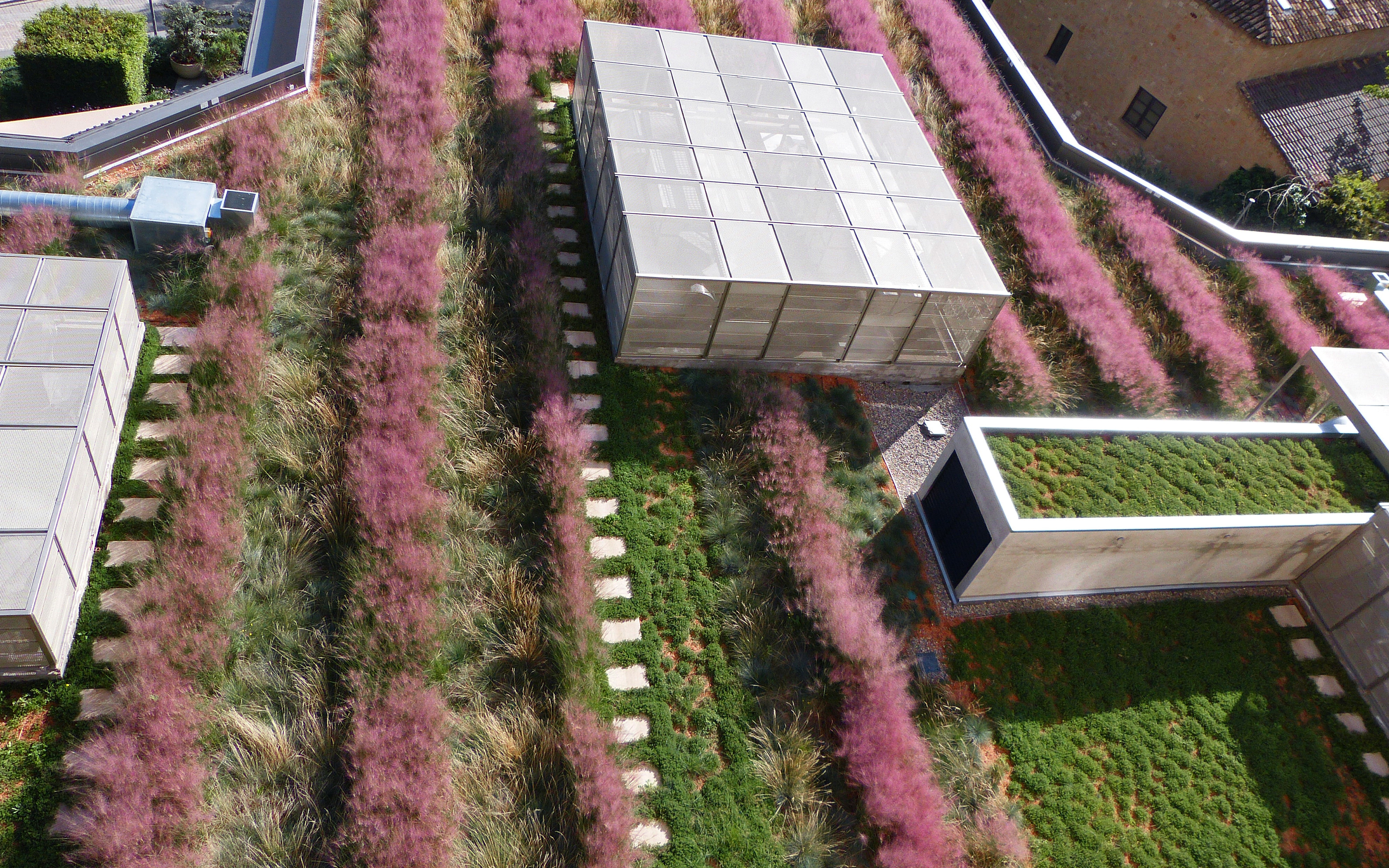 Cubierta ajardinada extensiva