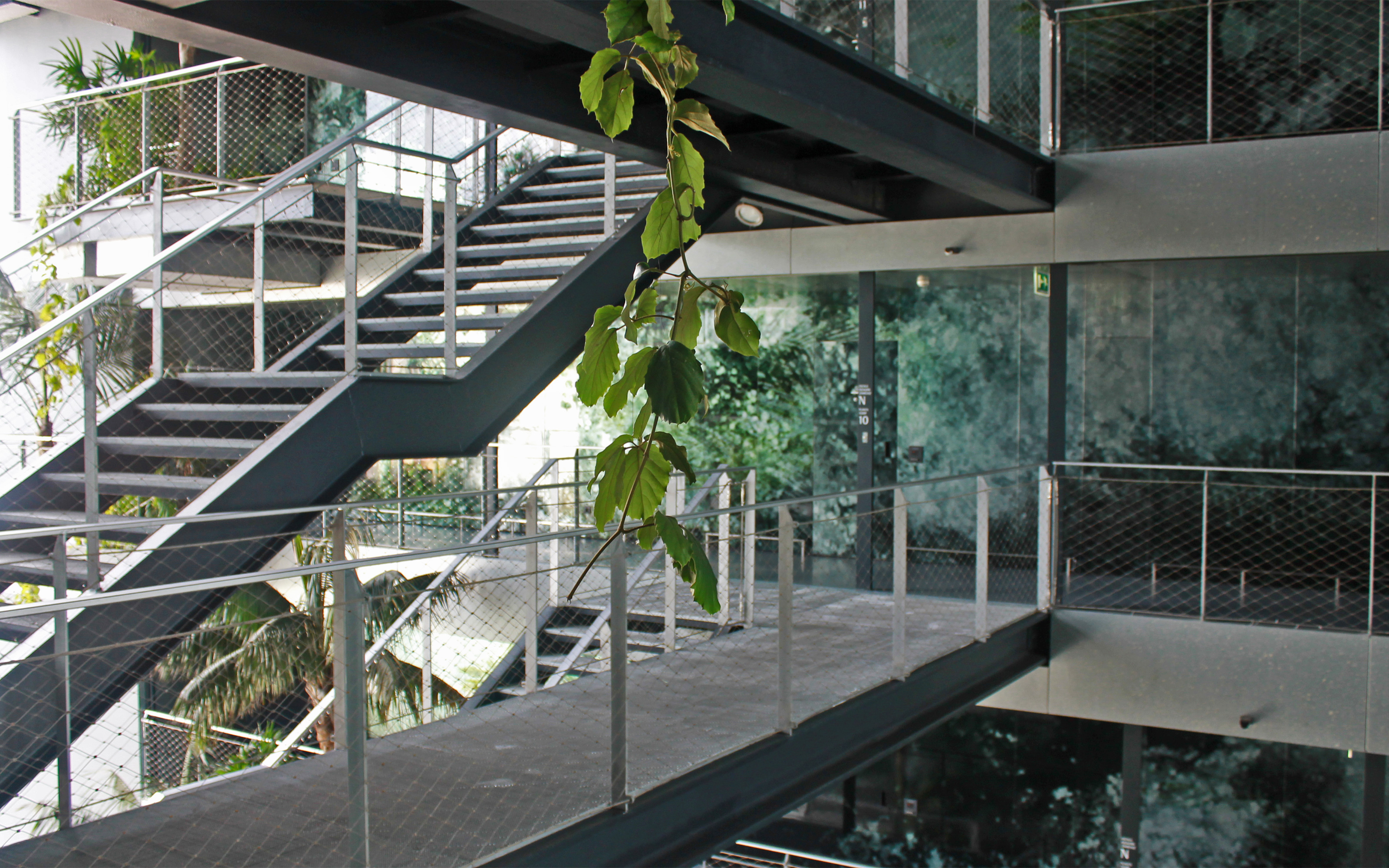 Escalera y plantación tropical