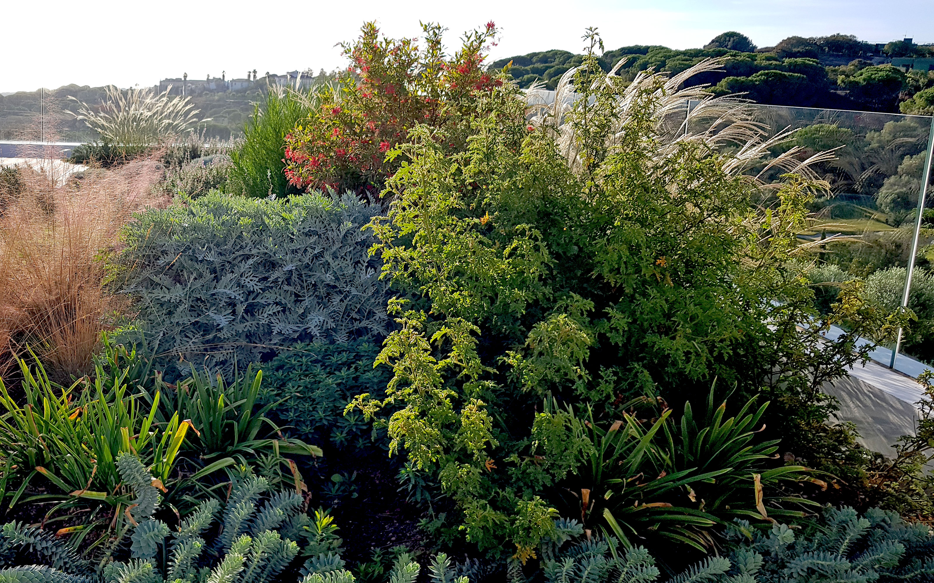 Cubierta ajardinada extensiva con barandilla de vidrio