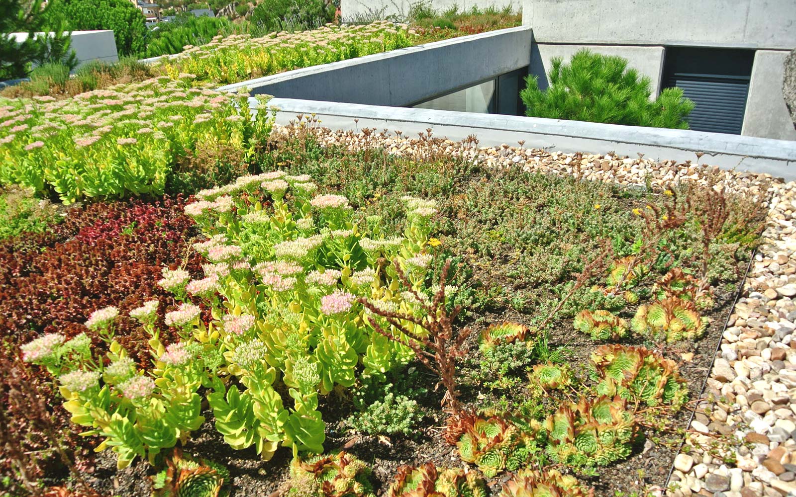 Flores sobre una cubierta 