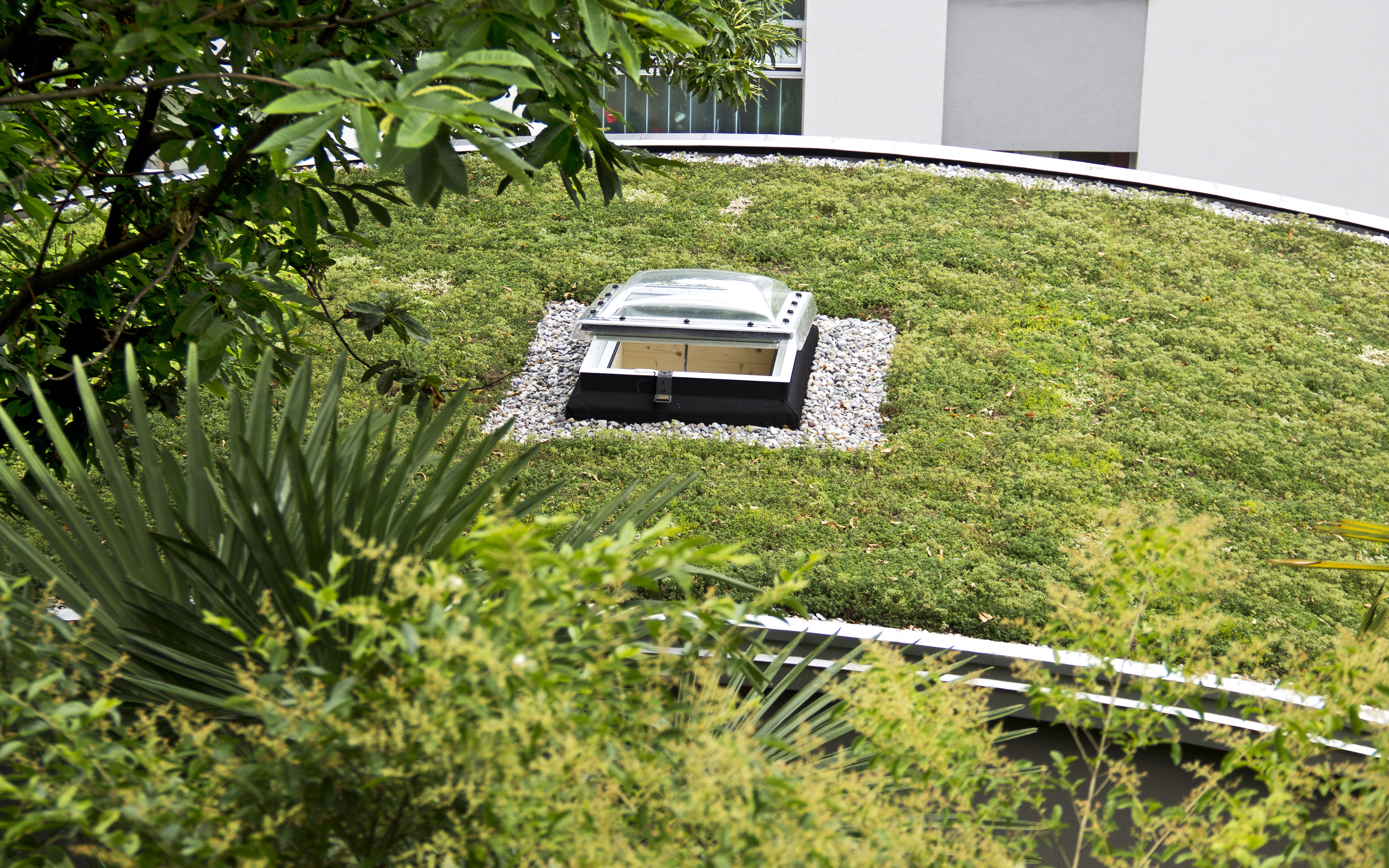 Tragaluz abierto en una cubierta abovedada ajardinada