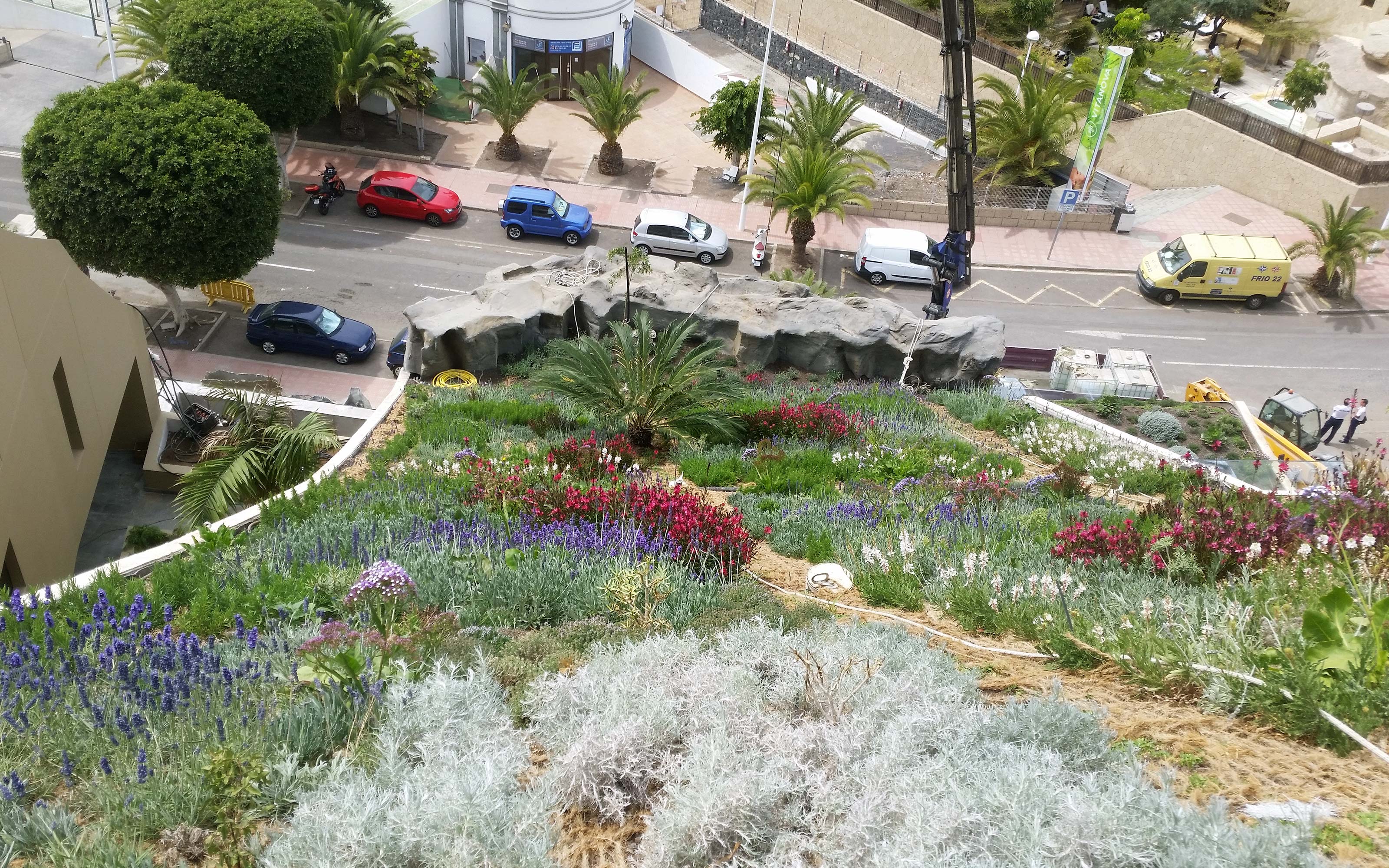 Plantas en la cubierta inclinada