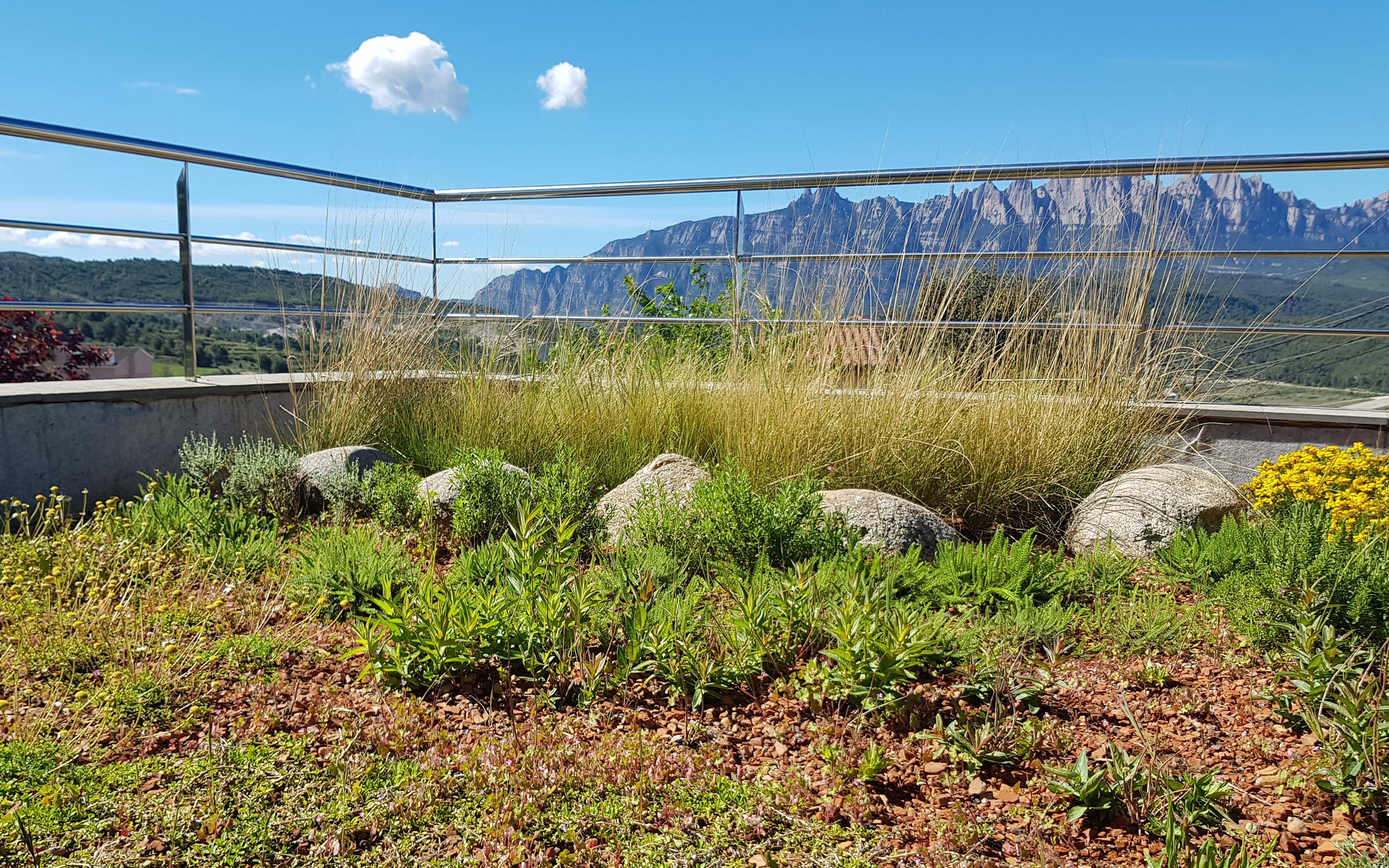 Cubierta verde con barandilla