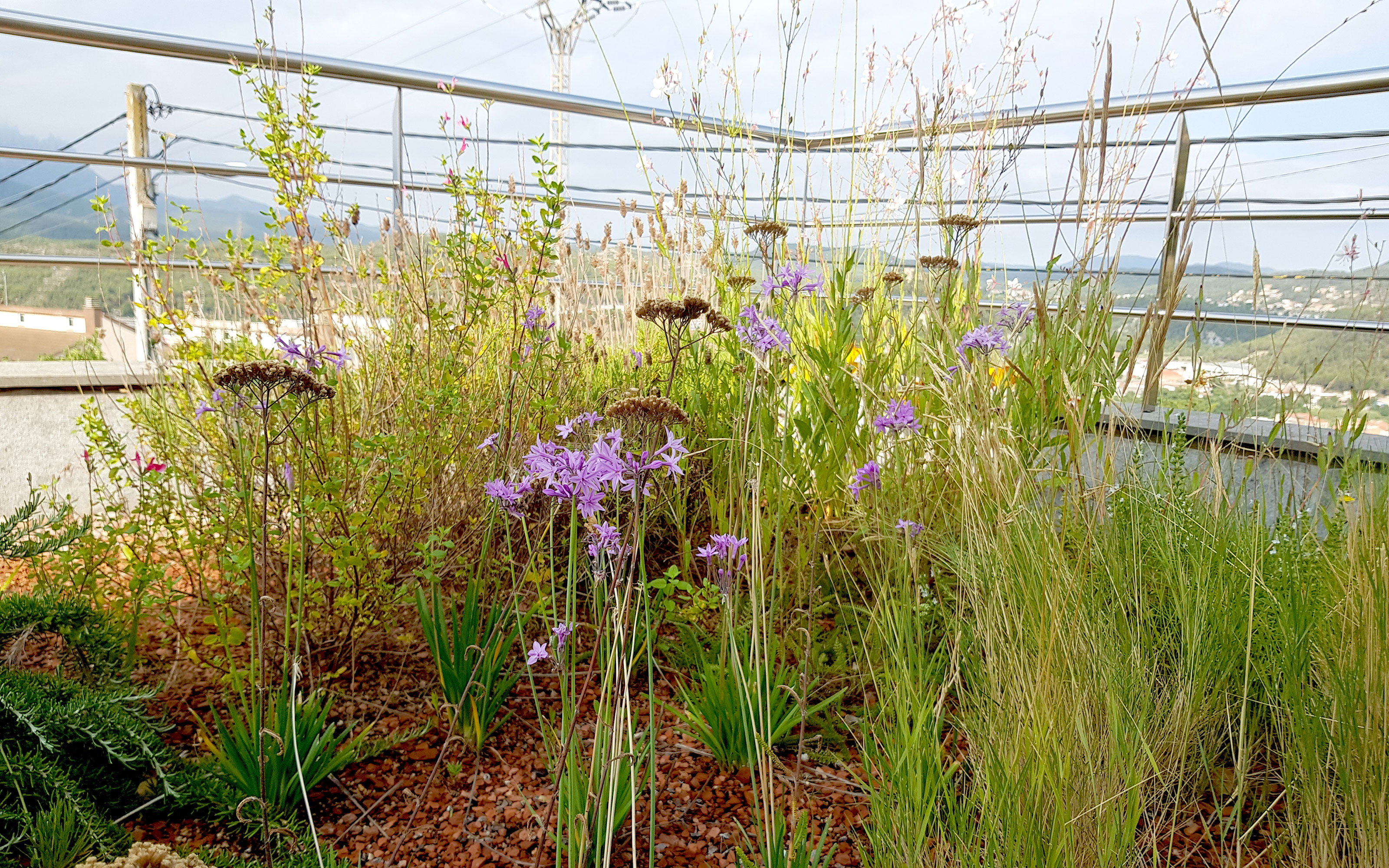 Cubierta verde con barandilla