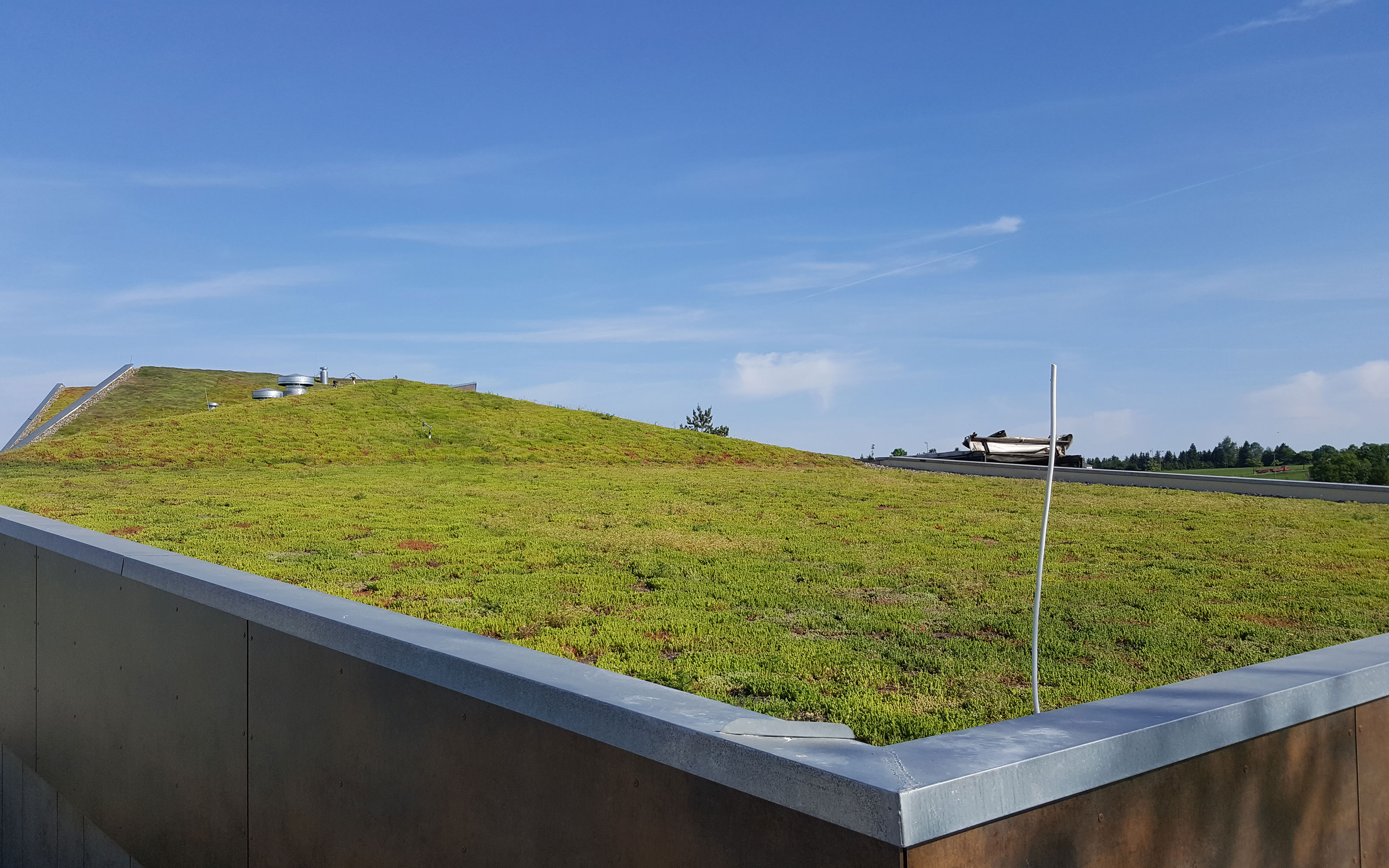 Cubierta ajardinada con Sedum