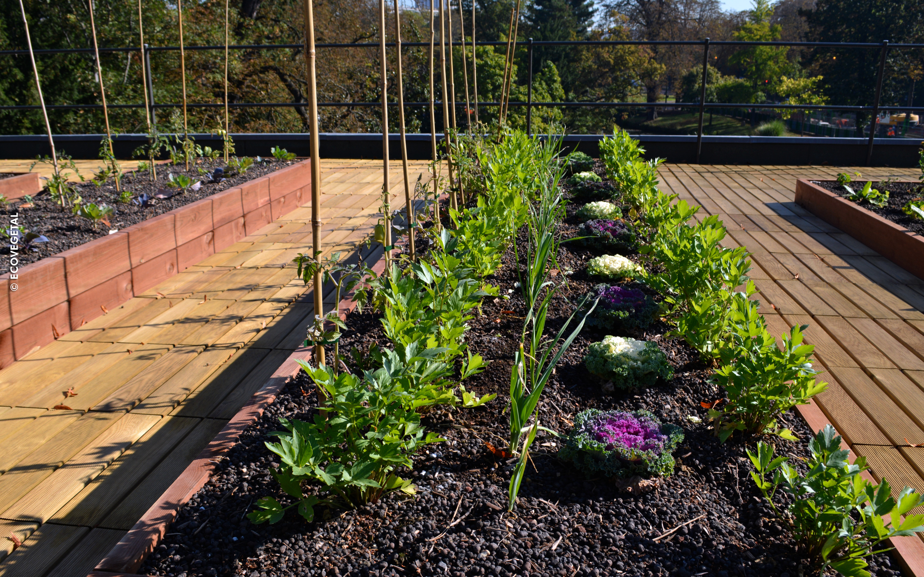 Huertos y pavimentos de madera en la cubierta