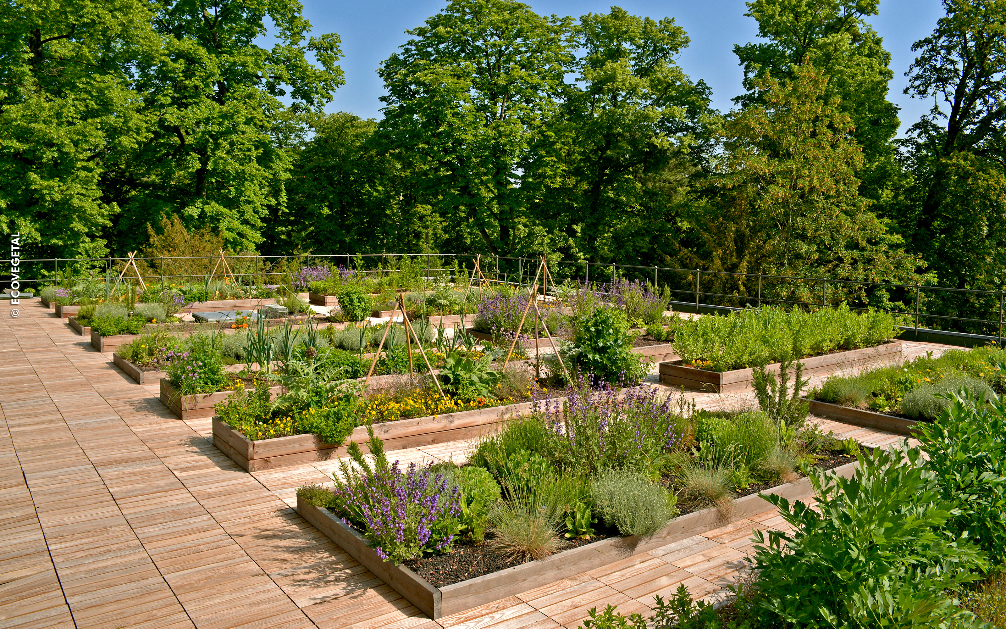 Huertos y pavimentos de madera en la cubierta