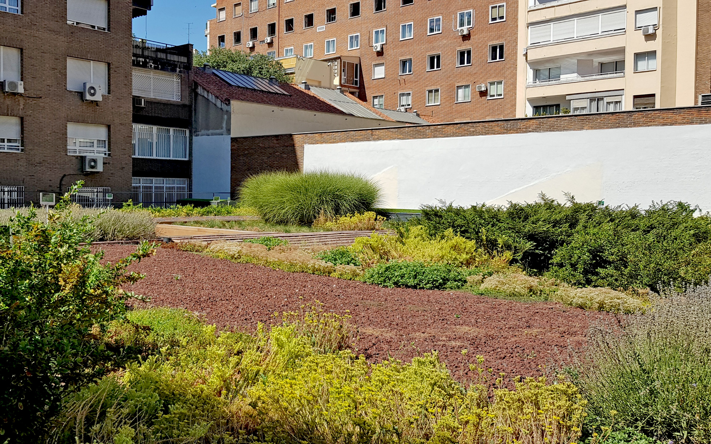 Cubierta verde enfrente de bloques de apartamentos