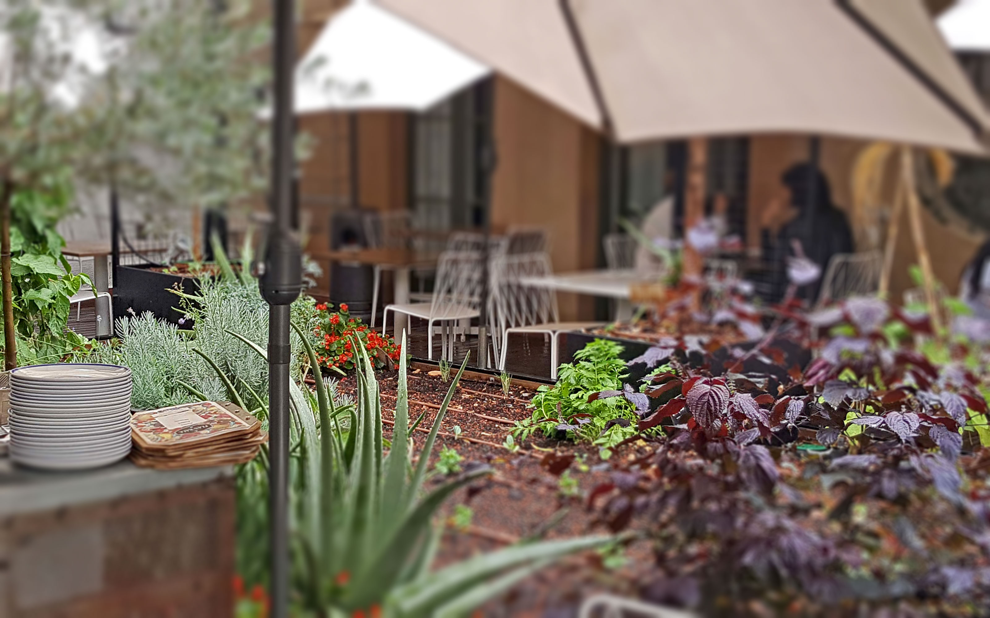 Gente en un restaurante con un huerto