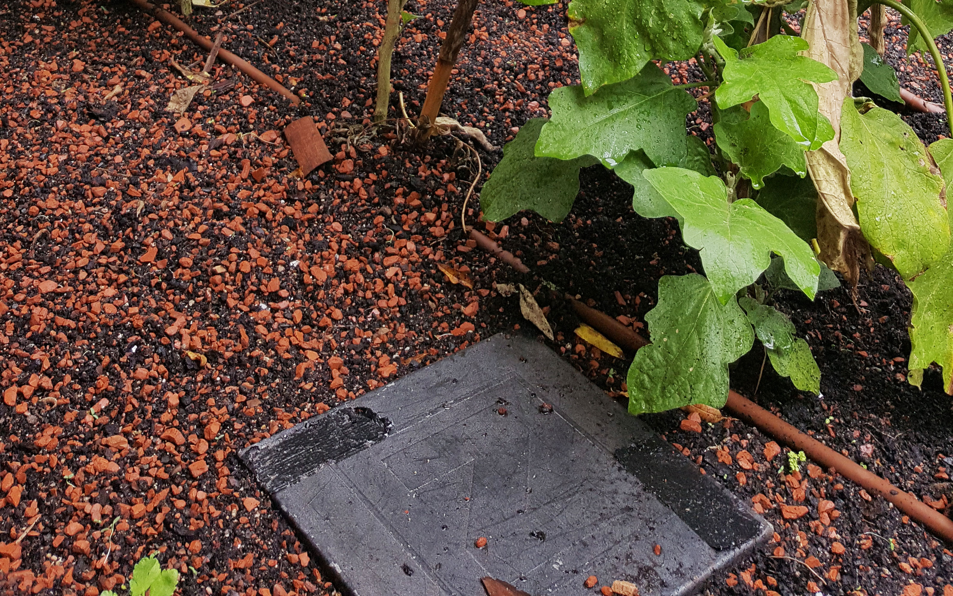 Substrato y caja de control