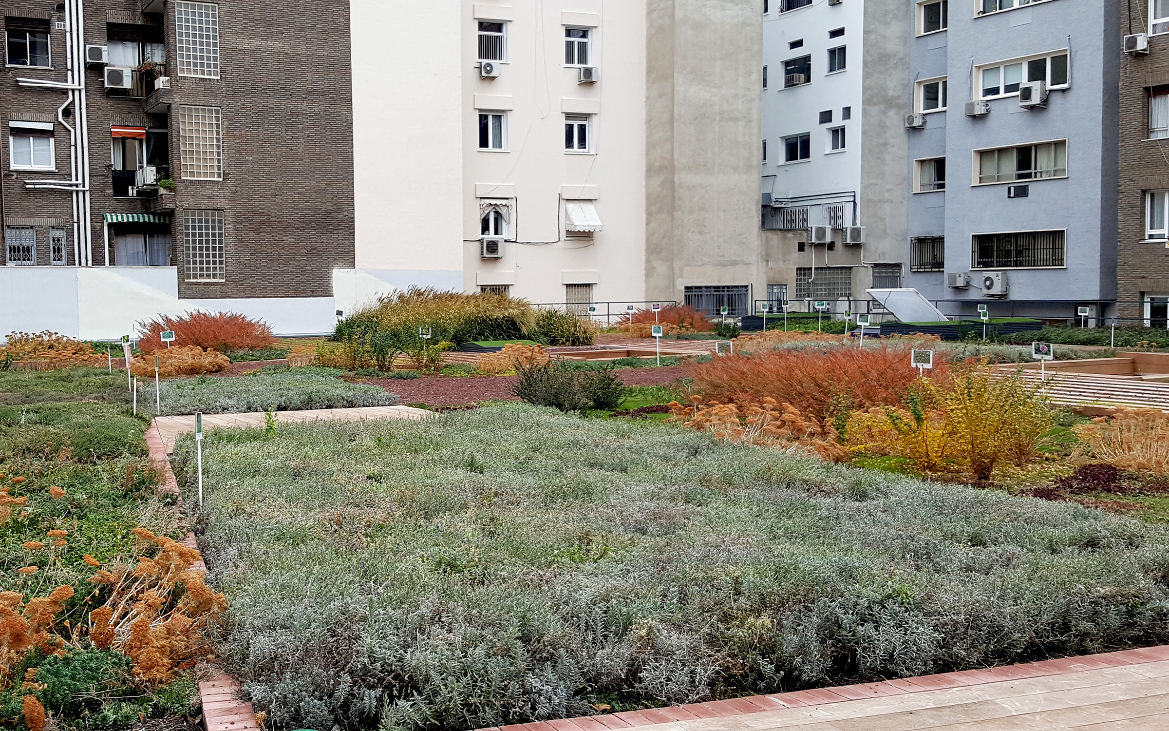 Cubierta ajardinada en el otoño