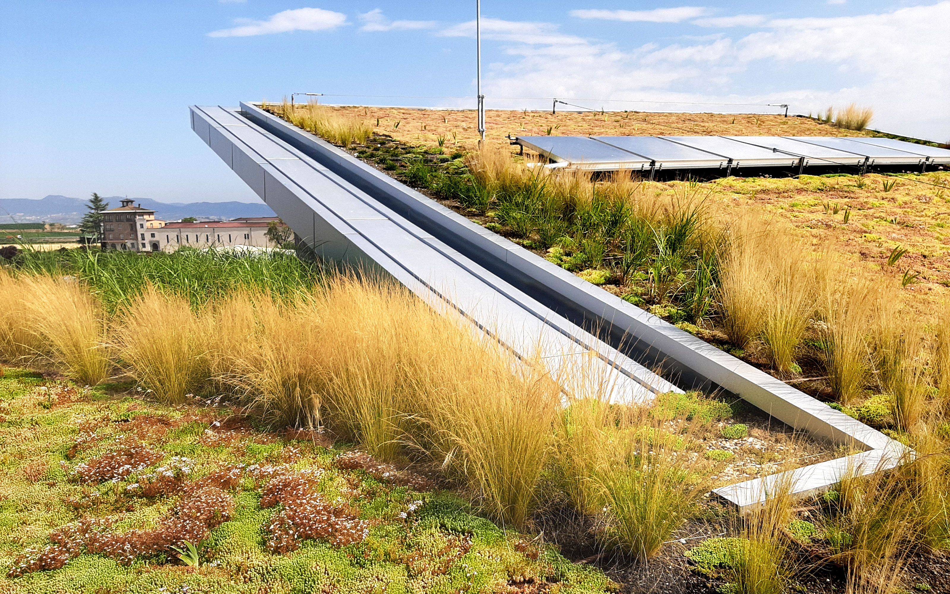Cubierta ajardinada inclinada