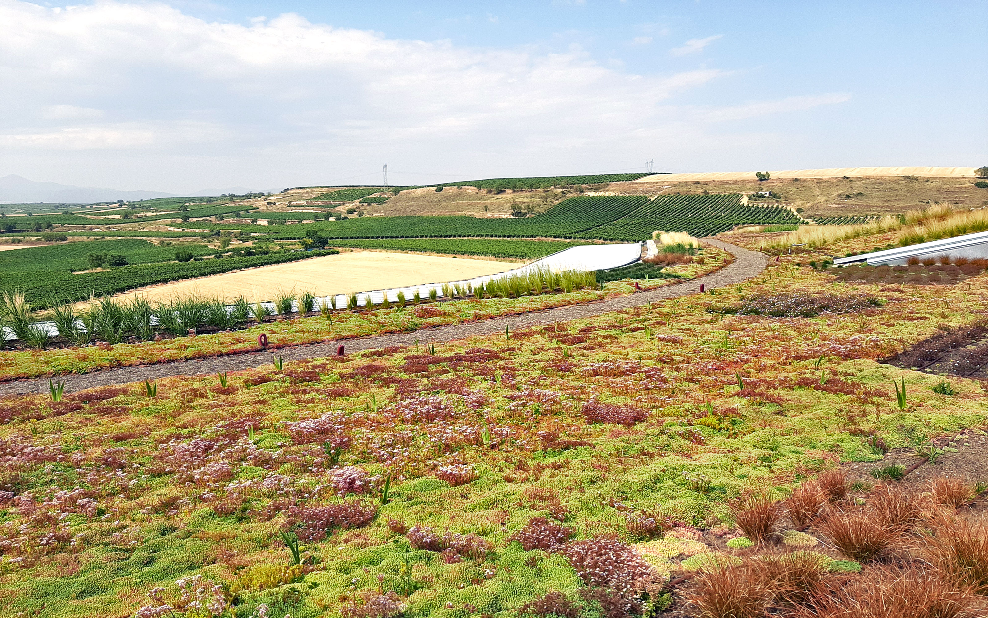 Cubierta ajardinada extensiva