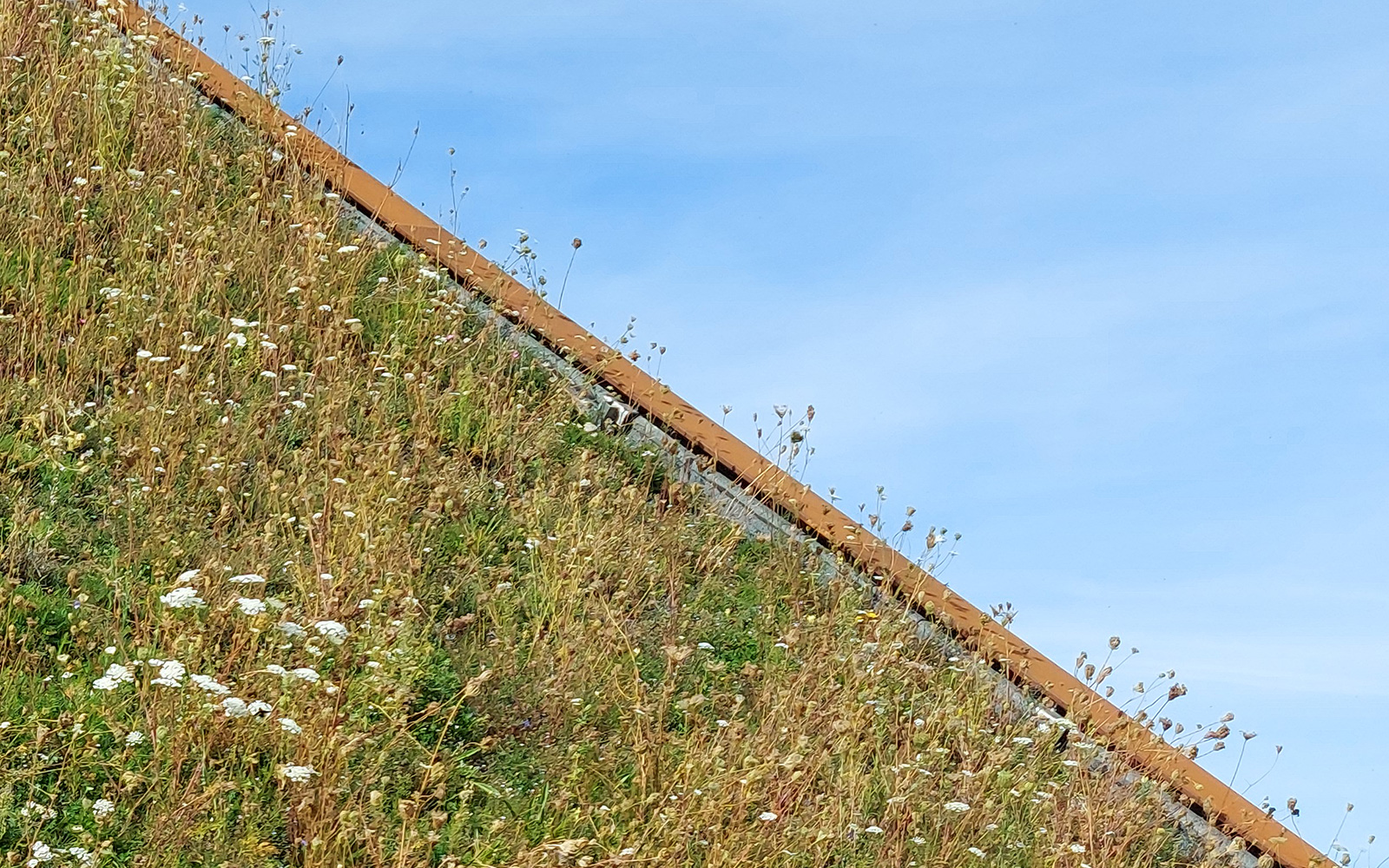 Flores sobre la cubierta verde inclinada