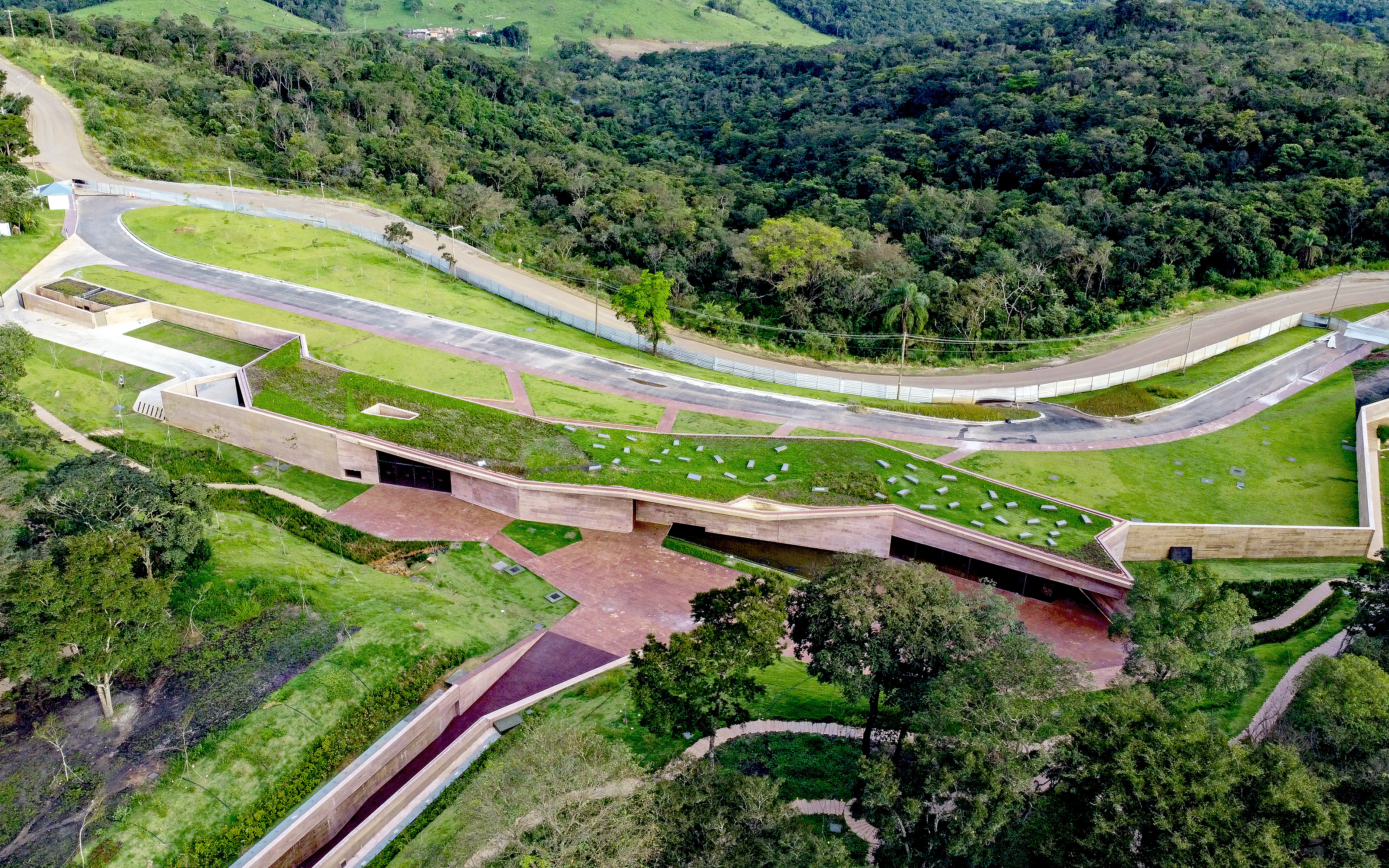 Cubierta verde junto a un bosque