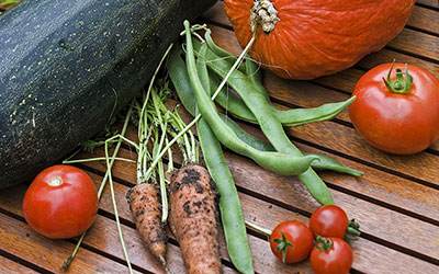 Verduras