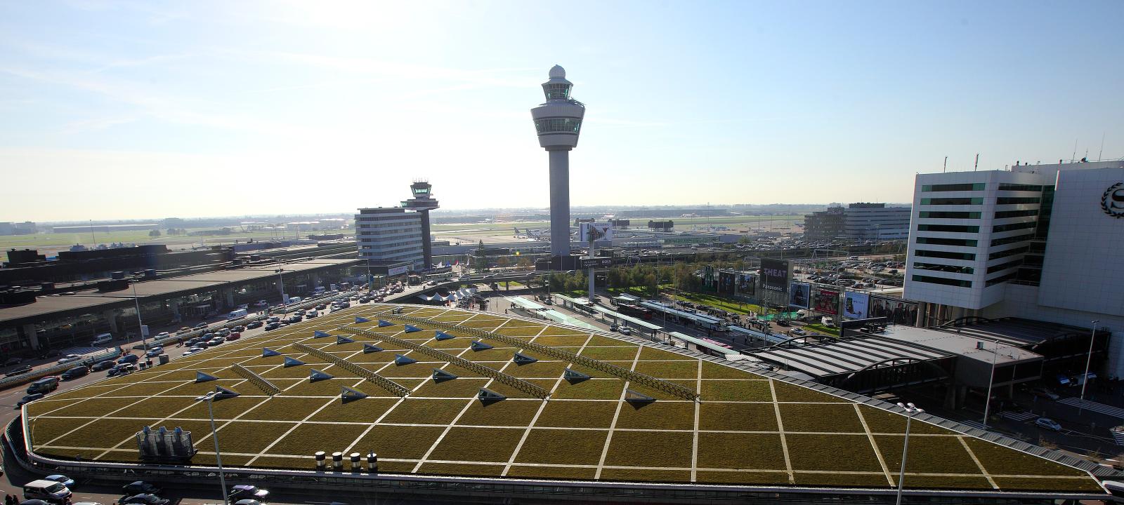 Cubierta vegetal con fotovoláicos