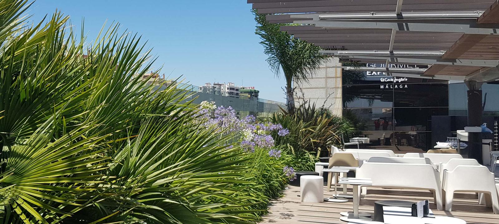 Cubierta jardín con palmeras, flores de agapanthus, mesas y sillas