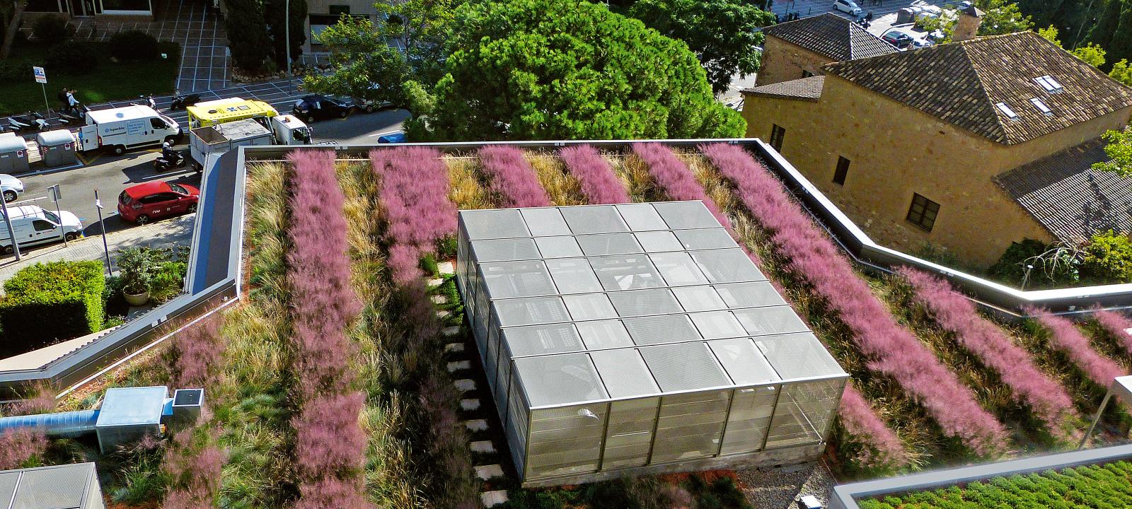 Cubierta ajardinada extensiva