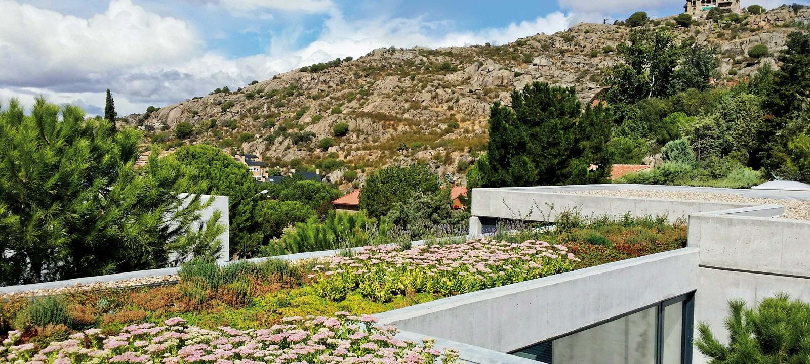 Cubierta ajardinada con flores de color rosado