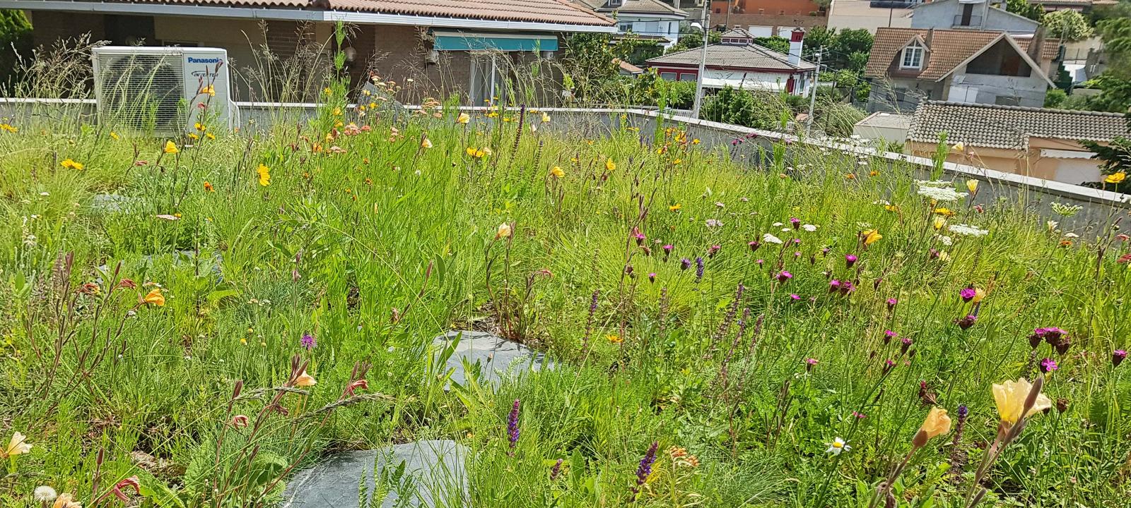 Cubierta verde con prado de flores