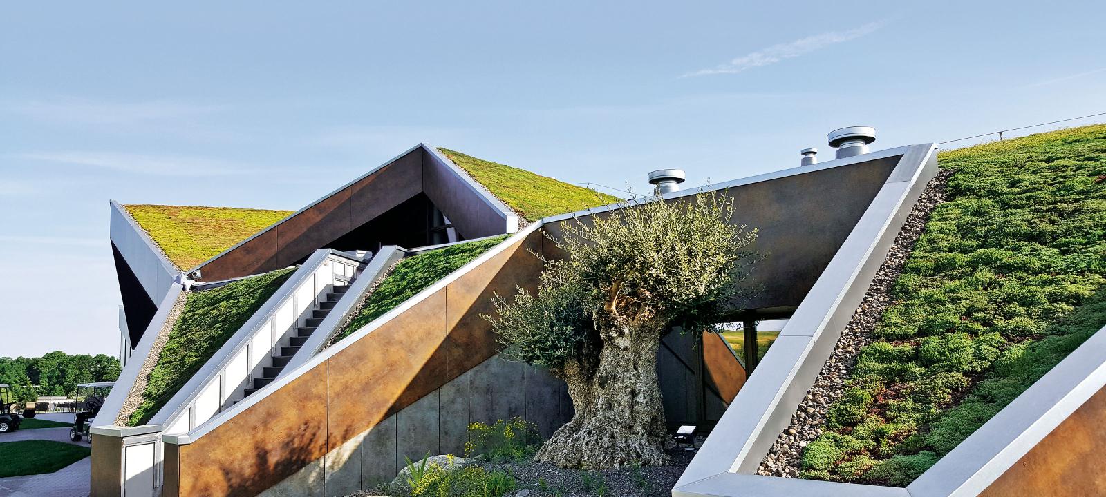 Cubierta inclinada ajardinada