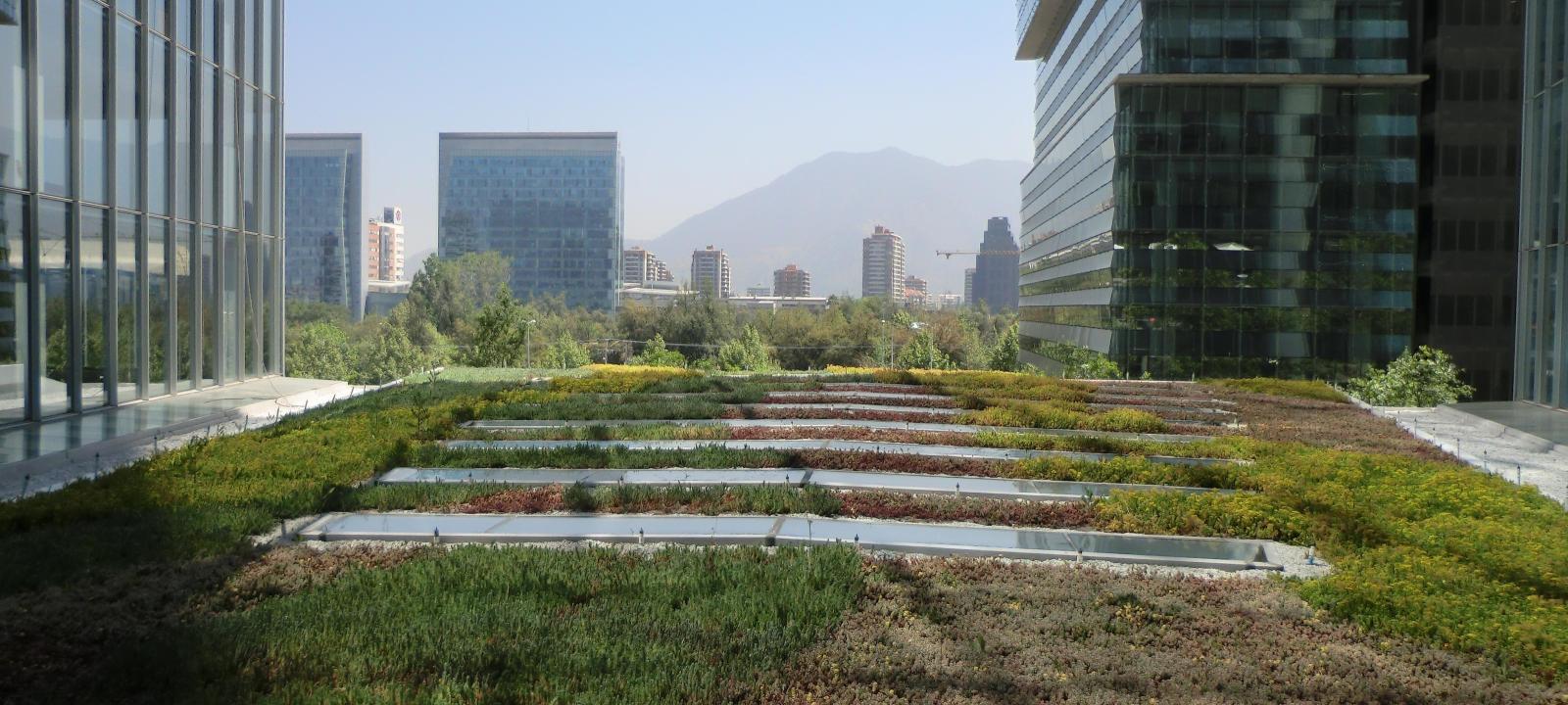 cubierta ecológica con sedum tapizante en Chile