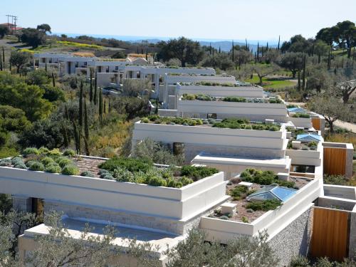 Cubierta ajardinada con lavanda y hierbas