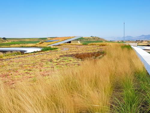 Gran cubierta ajardinada con hierbas ornamentales y Sedum