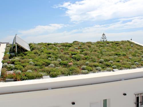 Cubierta ajardinada extensiva