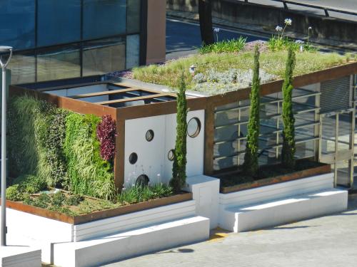 Cubierta ajardinada extensiva y enverdecimiento vertical