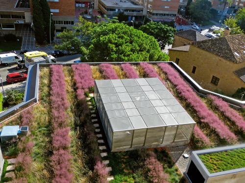 Cubierta ajardinada extensiva