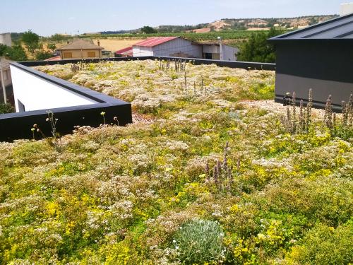Cubierta ajardinada con Sedum