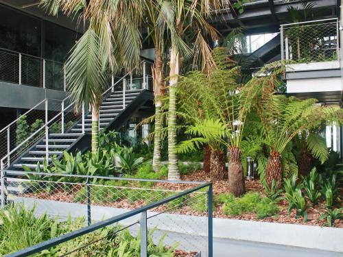 Plantación tropical en un edificio