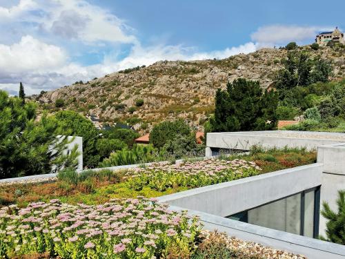 Cubierta ajardinada con flores de color rosado