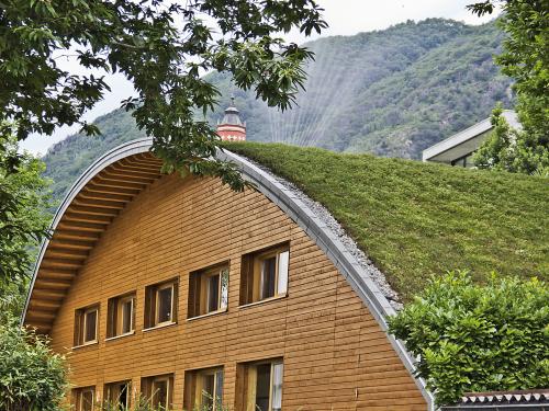 Casa de madera con la cubierta abovedada ajardinada