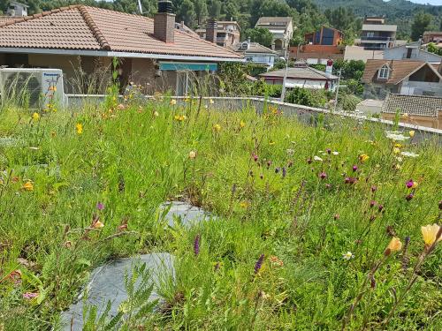 Cubierta verde con prado de flores