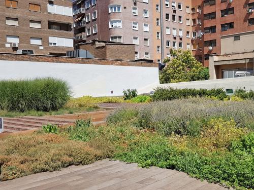 Cubierta verde enfrente de bloques de apartamentos