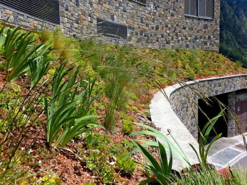 Cubierta ajardinada extensiva