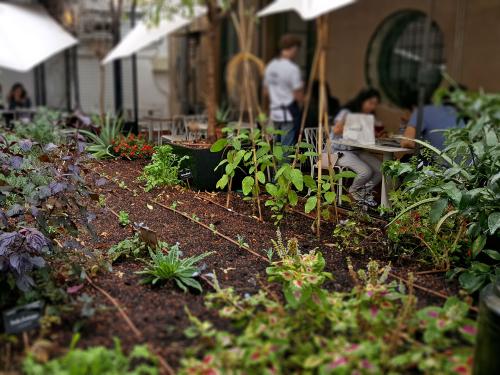Cama con verduras y hierbas