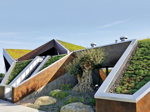 Cubierta inclinada ajardinada